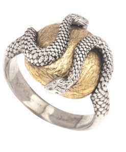 Anello Serpente